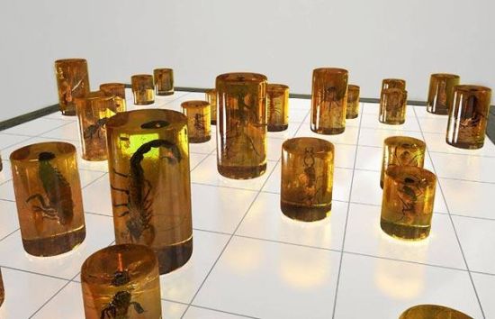 insect chess set