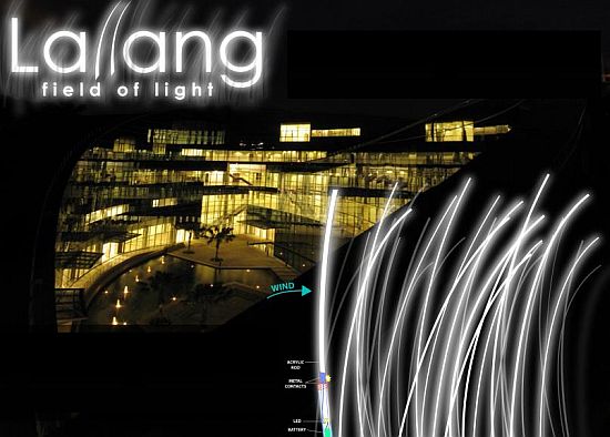 lallang wind light 01