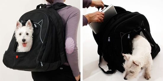 pet laptop backpack 01