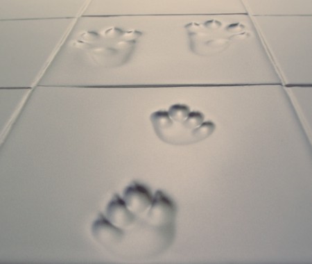 snow print tiles