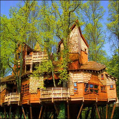 tree house 1 1451