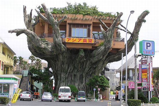 treehouse restaurant 1