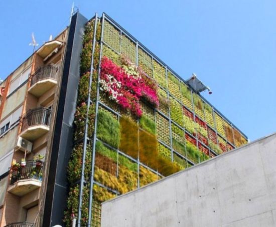 vertical garden 5