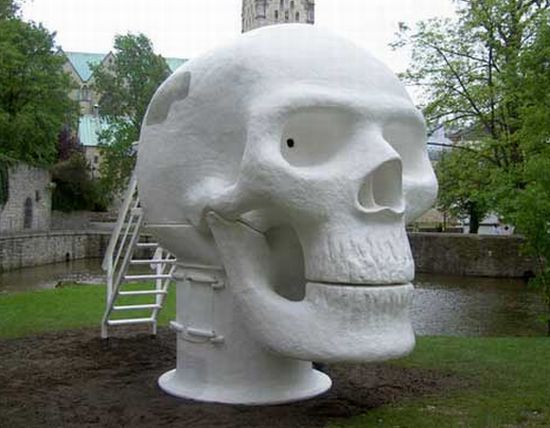 Wellness Skull