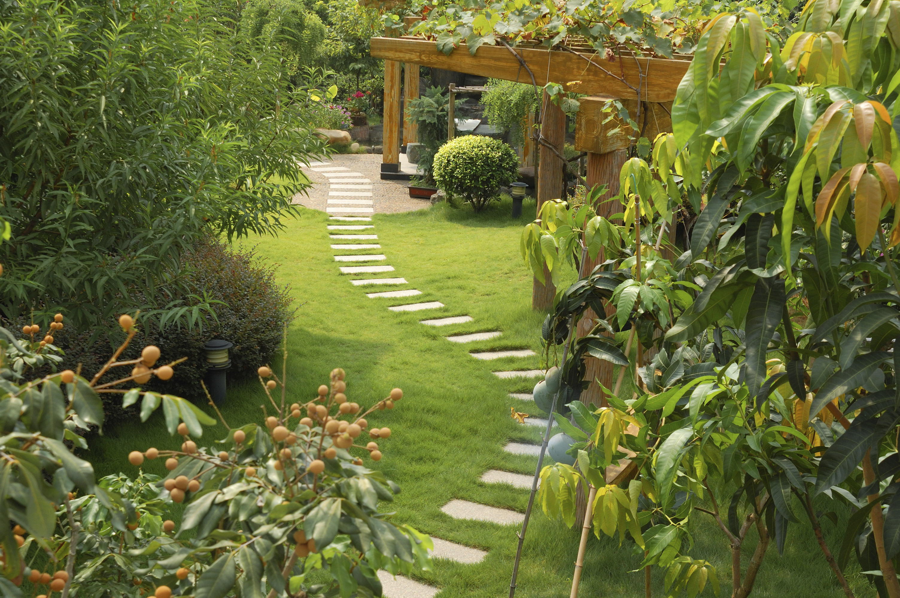 Designer Ideas for Environment Friendly Gardens - Designbuzz