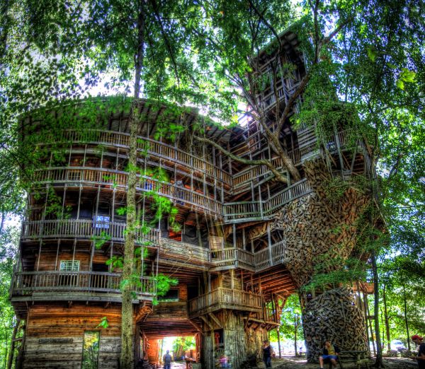 The World's Largest Tree House1