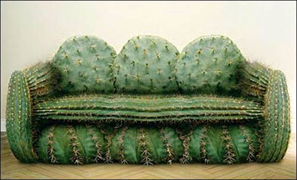 sofa_cactus