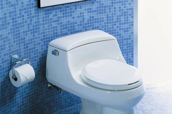 toilet-low-flow-sanraph-kohler_8c7004afacd2944cc27d3597921b1a11_3x2