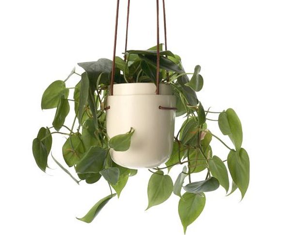 060209 hanging planter