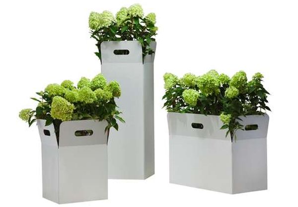 flora-box-planters