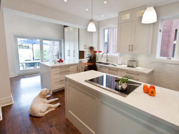 Pet friendly kitchen design