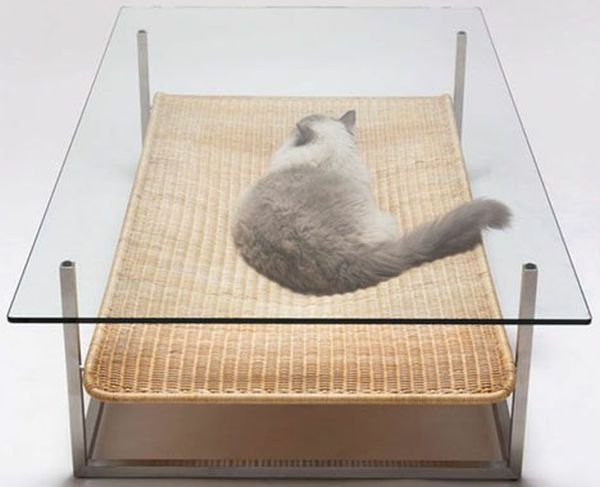 cat-friendly-coffee-table