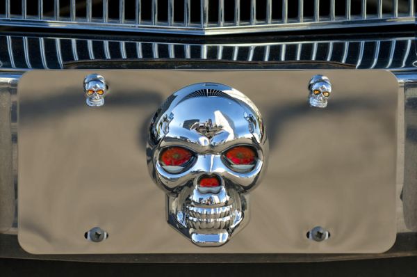 skull-license-plate-jill-reger