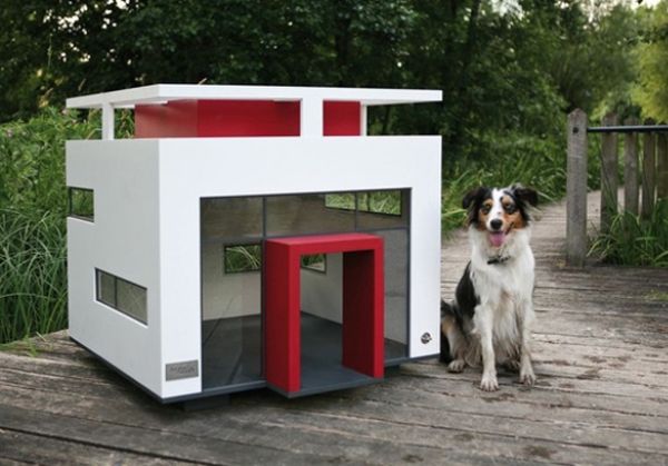 hunde-haus-cubix