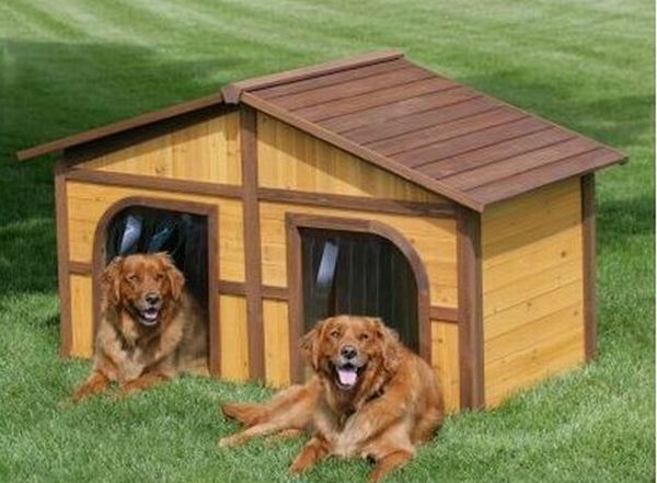 merry_products_dark_stain_duplex_dog_house_tgzll