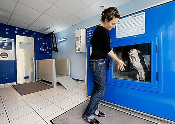 automatic-dog-washing-machine