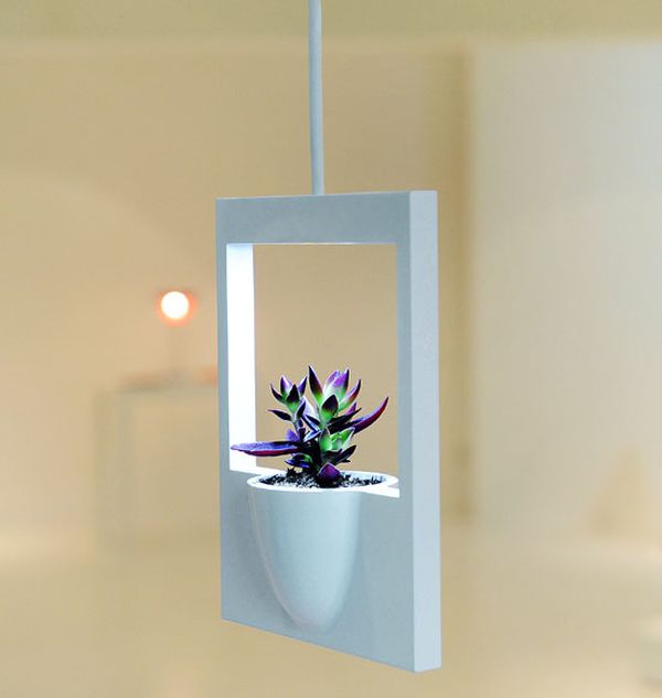 Polaroid Flower Vase