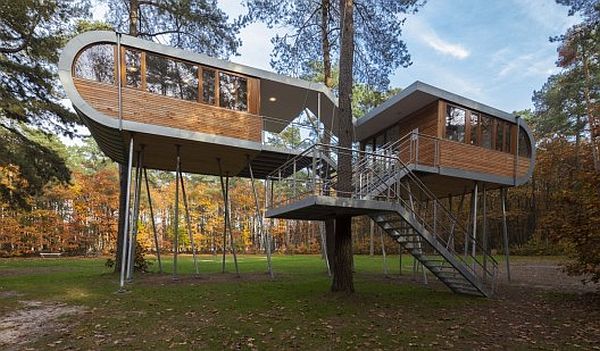 The Tree House from Baumraum