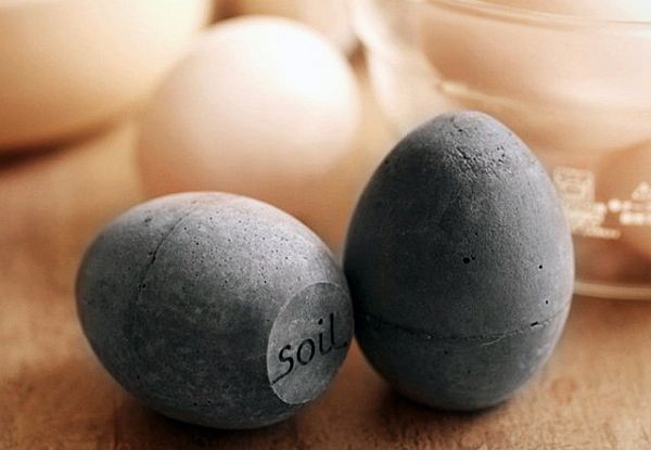 amazing soil Eggs