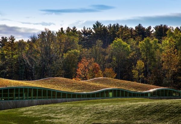 Hotchkiss Biomass Power Plant