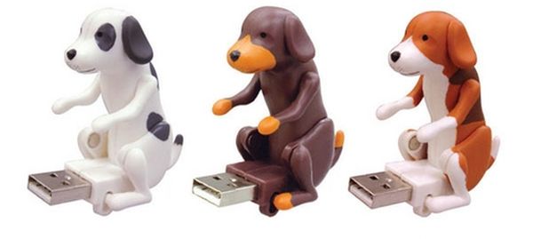 dog flash drive