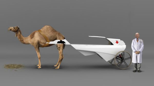 Camel Ambulance