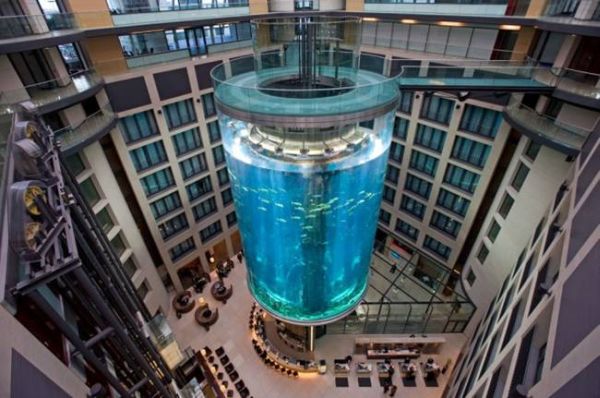 AquaDom is the largest Cylindrical Aquarium Elevator