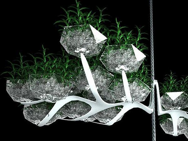 Concept vertical window garden