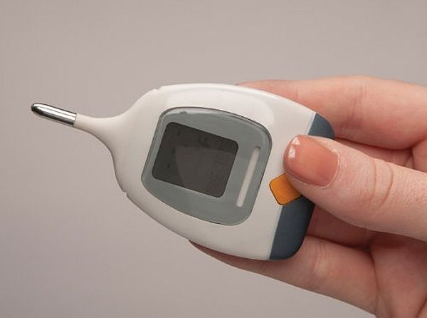 High Speed Rectal Thermometer