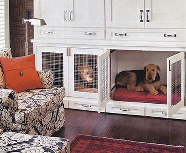 unused cabinet Pet Shelter