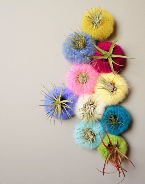 Mini Spun Sugar Air Plant Pods by Lemon Cucullu 12