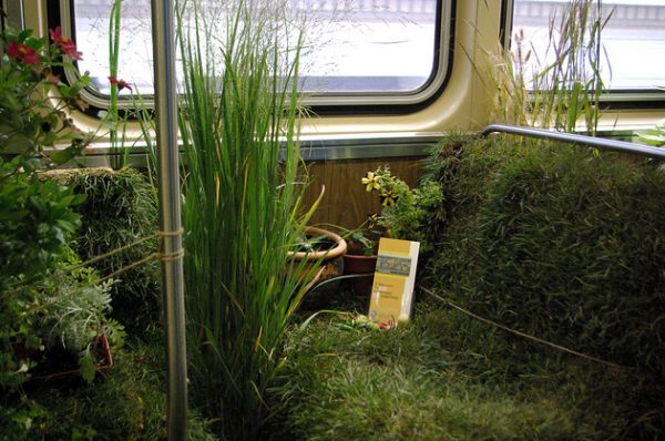 Chicago Plants Rail Car