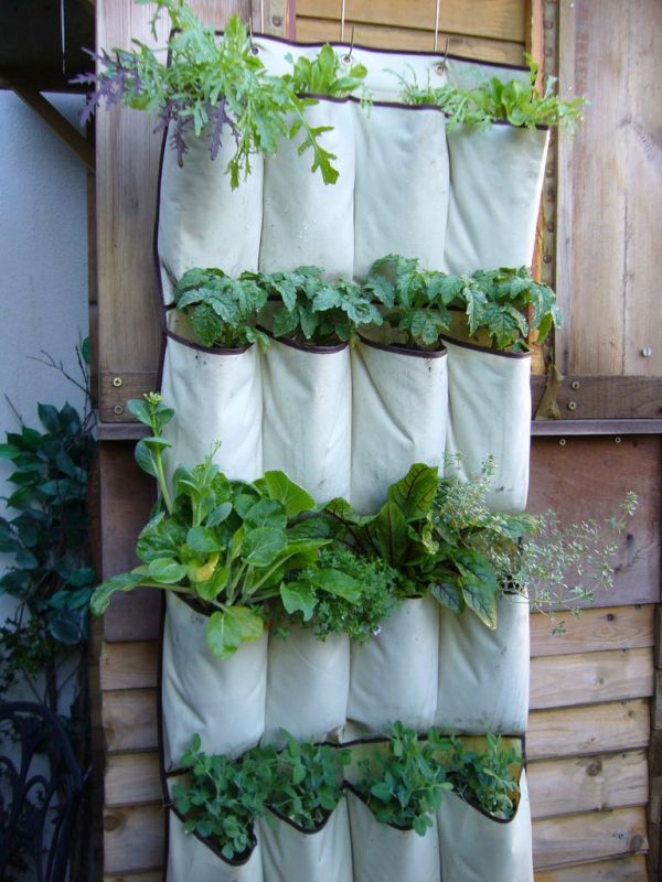 Cloth packets for Vertical garden