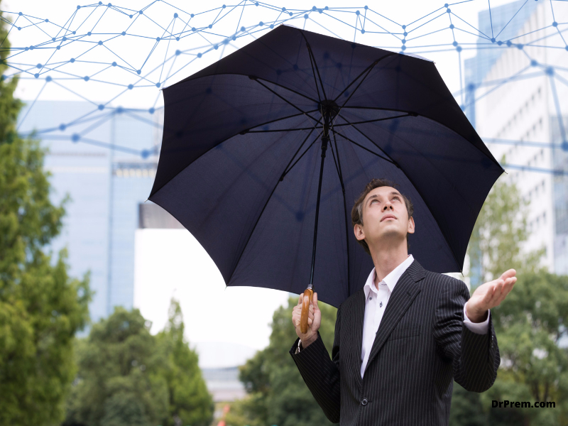 Pileus Internet brolly