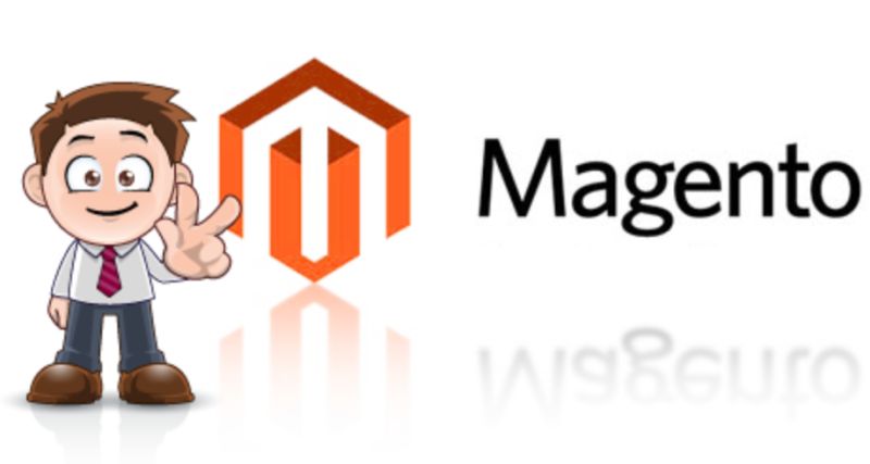 Magento Developer