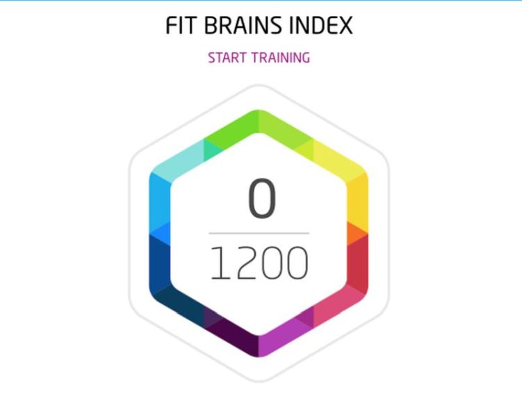 Fit Brains