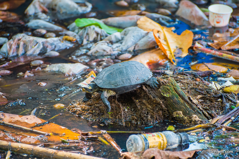 ocean plastic pollution crisis