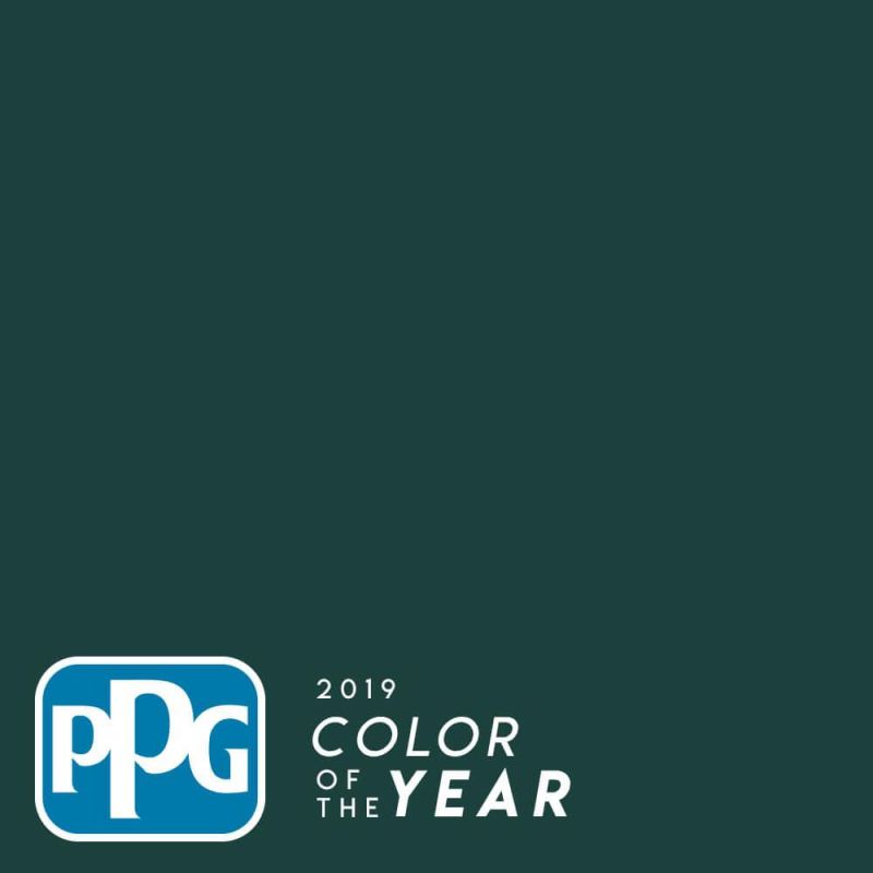 Top 6 Hottest Paint Color Trends to Try in 2019