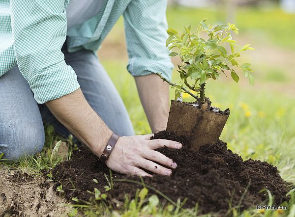 Plant-trees