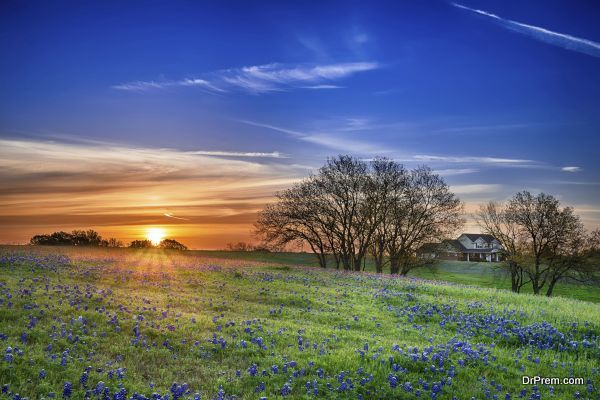 Texan Weather