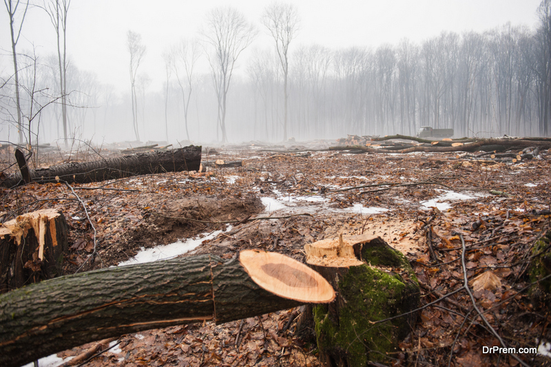 Billions of trees have been cut down