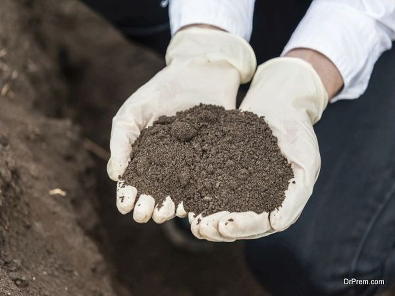 Start Composting