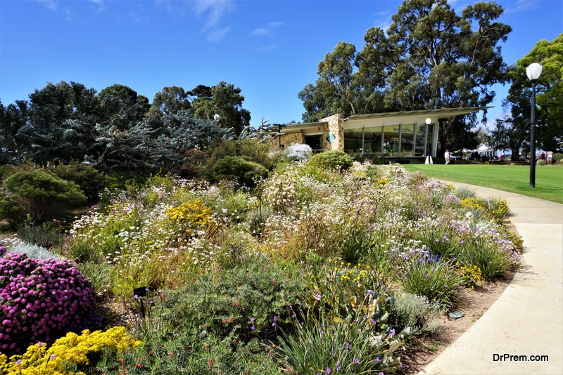 rain gardens