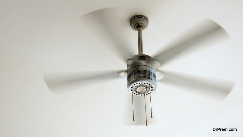 Ceiling Fans to blow Downwards