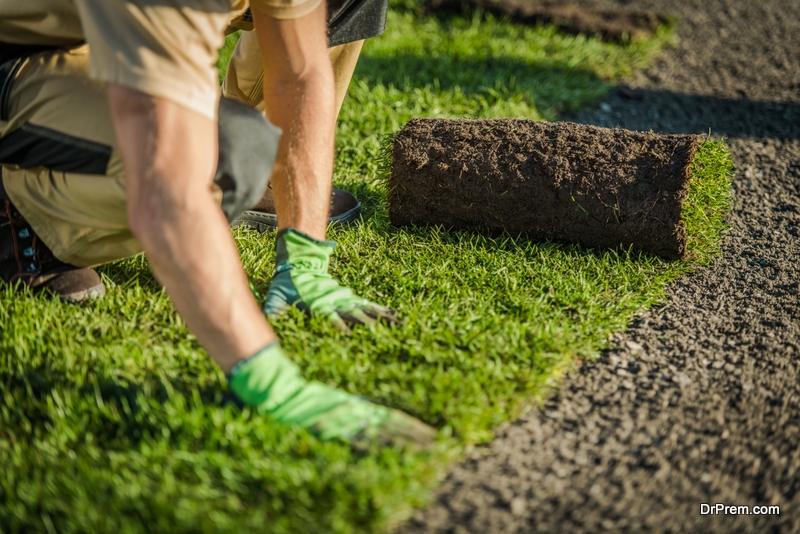 commercial landscaping services