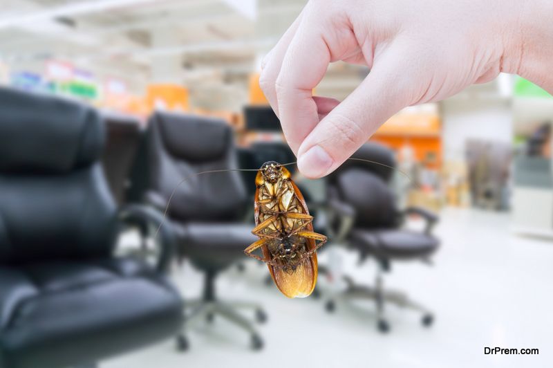 pest type affecting your business