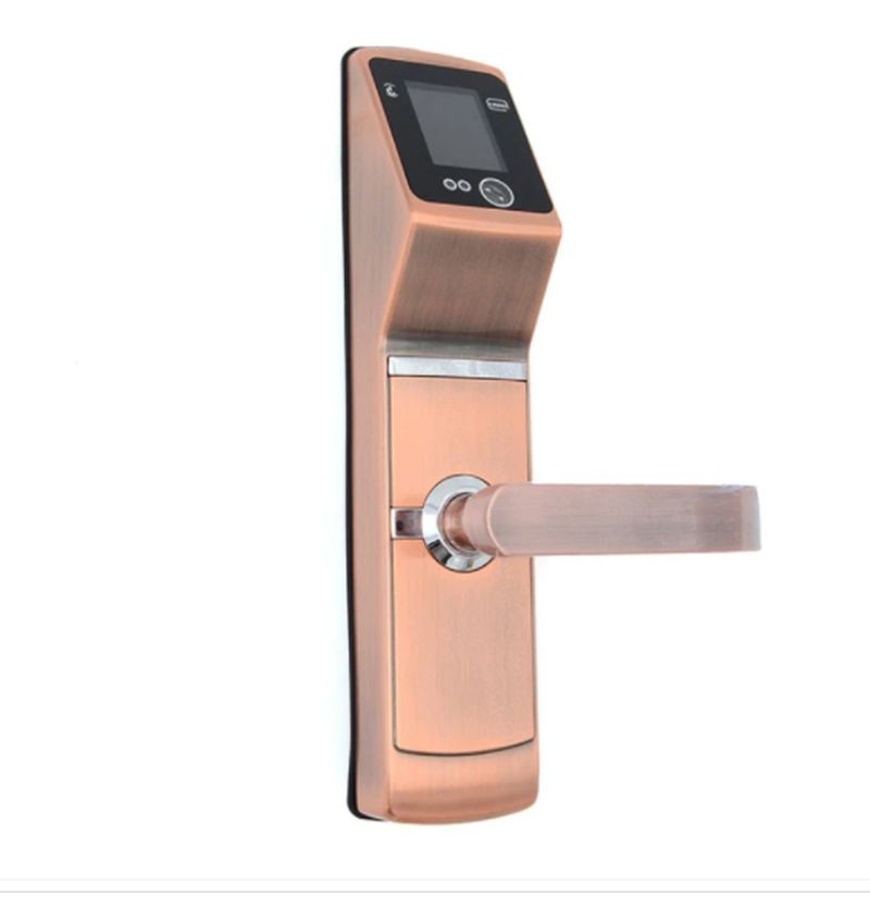 Iface 304 Face Recognition Standalone Door Lock