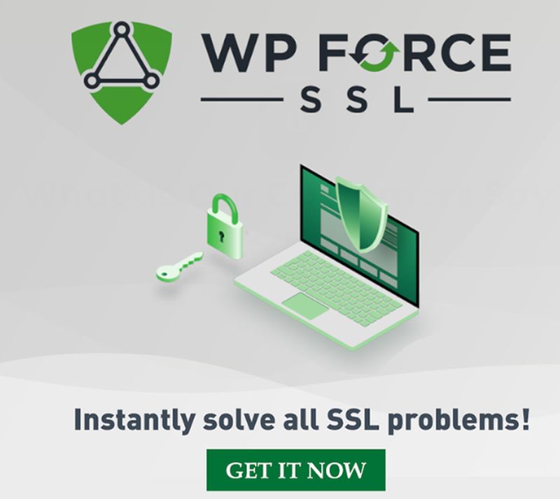 WP Force SSL features