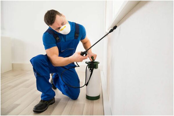 How to Choose the Right Home Pest Control Services