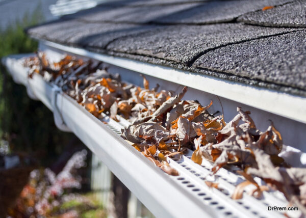 The Benefits of Gutter Guards for a Well-Maintained Home